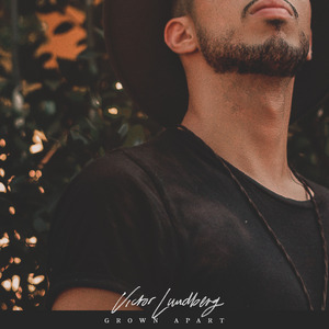 日韩精品一区二区在线
