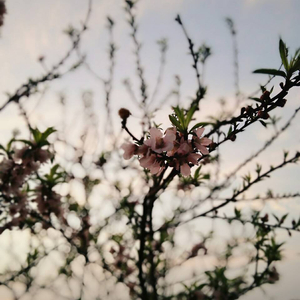 雏田爆乳被❌🔞㊙3D
