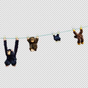 禁漫官网官方进入网页
