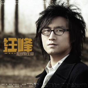 辽宁夫妻对白国语
