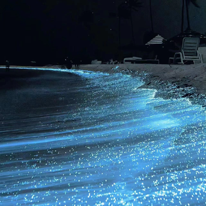 人妖高难度自己口自己
