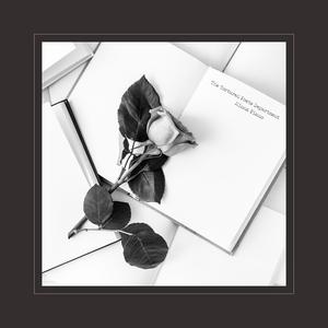 日韩日韩女性交做爱视频免费看
