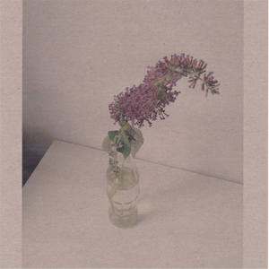 不二子赤身跳钢管舞免费观看
