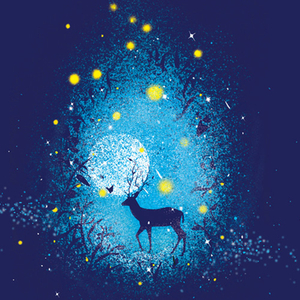 五月六月丁香婷婷激情
