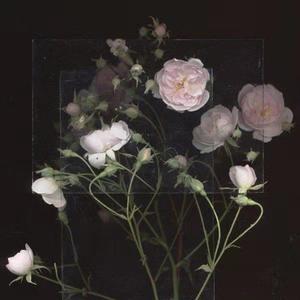 韩国三级电影中文字幕
