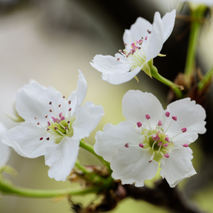 COS❌开腿让我爽了一夜作文
